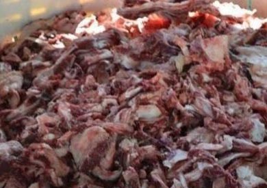 لحوم فاسدة - ارشيفية