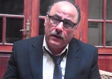 ناصر أمين، عضو المجلس القومي لحقوق الإنسان