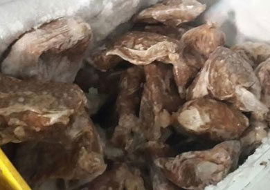ضبط نصف طن كبدة وكلاوي غير صالحة بكفر الشيخ