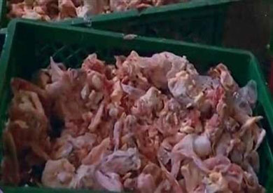 ضبط مصنع منتجات لحوم فاسدة بشبرا الخيمة