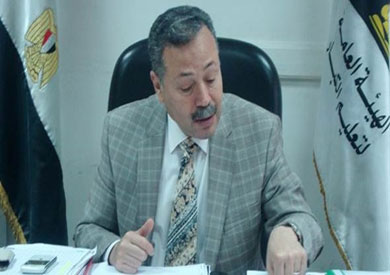 وزير التربية والتعليم محب الرافعي