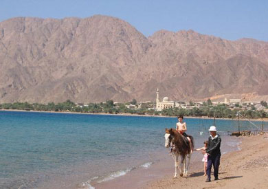 ارشيفية