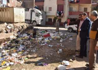 رفع 80 طن قمامة ومخلفات صلبة في المنيا