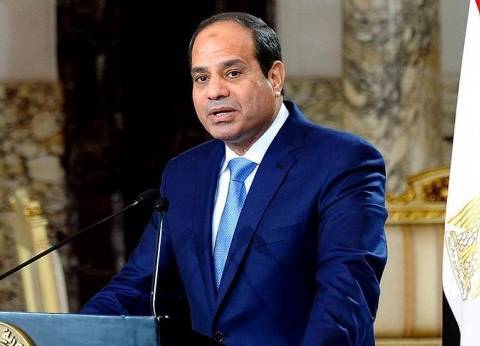 «السيسي»: ارتفاع الأسعار ليس بسبب «جشع تجار» فقط