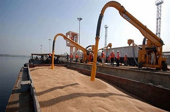 وصول 63 ألف طن قمح روسي لميناء سفاجا