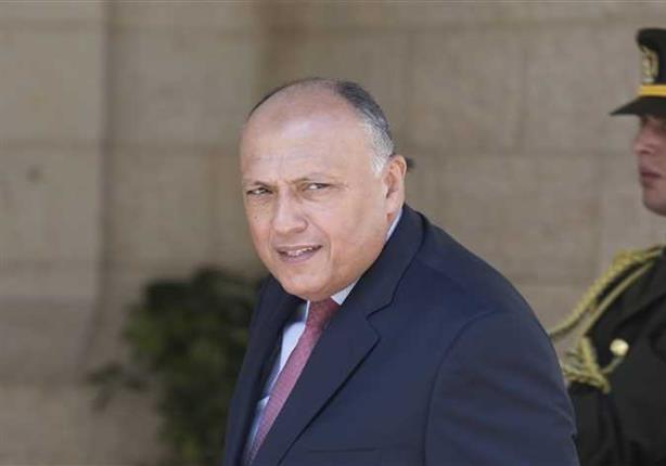 سامح شكري، وزير الخارجية