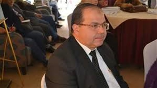 الدكتور نصيف الحفناوي، وكيل وزارة الصحة بالقليوبية،