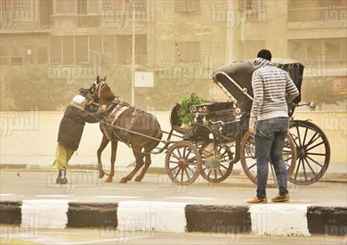 موجة من الطقس السيئ ضربت البلاد أمس- تصوير أحمد عبد الفتاح