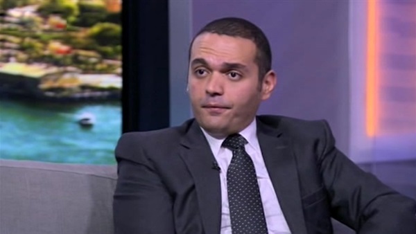 دكتور مدحت نافع، الخبير الاقتصادي