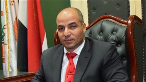 حسن النحلة، النقيب العام للمرشدين السياحيين