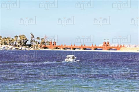 تجديد كوبرى الشاى بجزيرة الاحلام المنتزه الاسكندرية تصوير اميره مرتضى