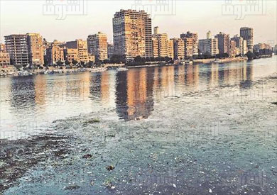 تصوير روجيه انيس