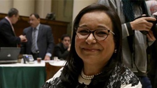 النائبة أنيسة حسونة، عضو مجلس النواب