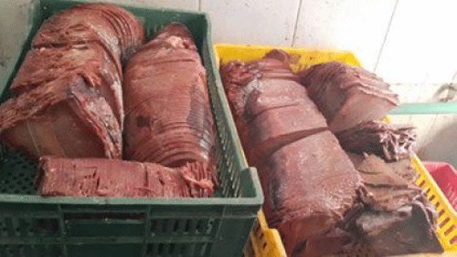 ضبط لحوم وأسماك فاسدة في حملة تموينية بالأقصر