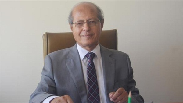 السفير رخا أحمد حسن، عضو المجلس المصري للشؤون الخارجية