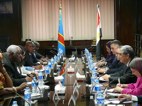 وزير الكهرباء يبحث مع نظيره الكونغولى إنشاء محطة شمسية قدرة 4 ميجاوات