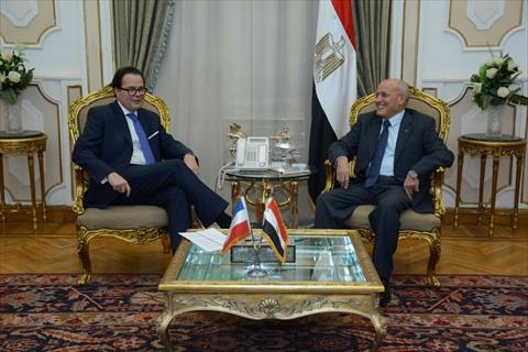 لقاء العصار وسفير فرنسا بالقاهرة