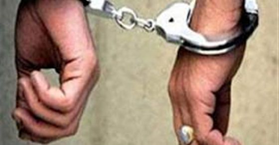 ضبط عاطل وجزار تعديا على مستشار واستوليا على سلاحه في بنها