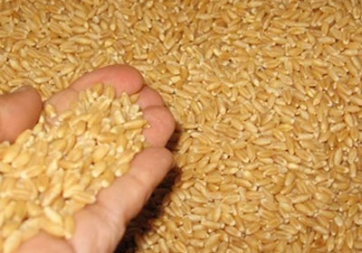 انكماش العجز التجاري للمغرب 3.6% في 11 شهرا-ارشيفية