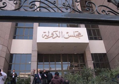 القضاء الإداري