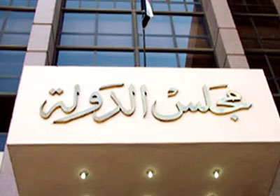 القضاء الاداري