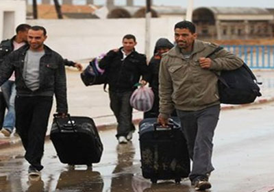 مصريون بالخارج _ أرشيفية
