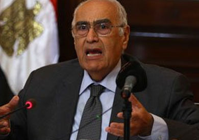 الدكتور عادل البلتاجى وزير الزراعة واستصلاح الاراضي