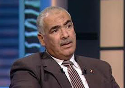 محمود عامر "القيادي بحزب الحرية والعدالة