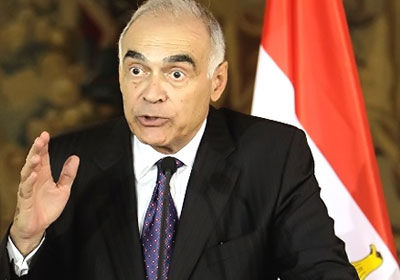 محمد كامل عمرو وزير الخارجية