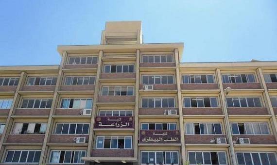 كلية الزراعة بالوادي الجديد