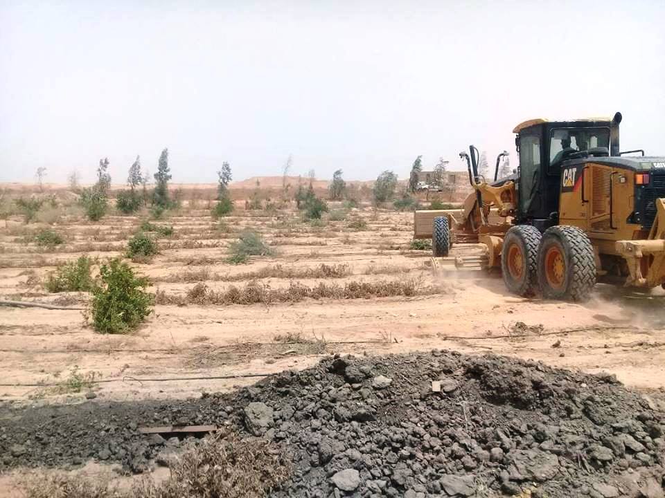 إزالة 112 حالة تعدي على الأراضي الزراعية بكفر الشيخ