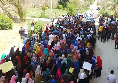 مسيرة لطلاب جامعة المنيا رفضا للقانون التظاهر - أرشيفية