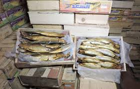 مصادرة 350 كيلو رنجة وسردين فاسد و400 لتر سولار مهرب للسوق السوداء بالغربية