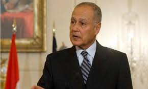 أحمد أبو الغيط