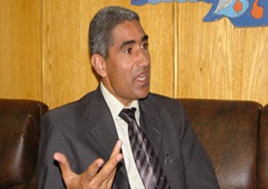 الدكتور عباس منصور رئيس جامعة جنوب الوداى