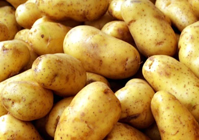 بطاطس