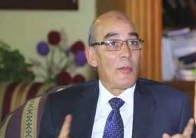 الدكتور عبد المنعم البنا، رئيس مركز البحوث الزراعية