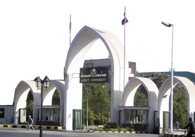 ارشيفية