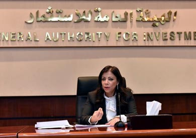 داليا خورشيد  وزير الاستثمار