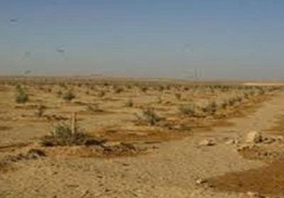 أرشيفية