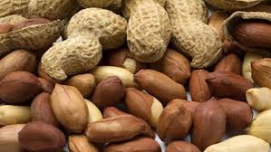 «الصادرات والواردات»: ارتفاع صادرات الفول السوداني بنسبة 100% والثوم 84% خلال 6 شهور