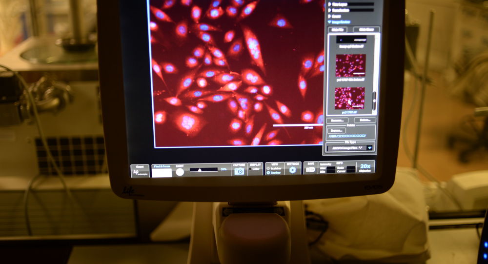 بعد 20 عاما من البحث.. علماء ينجحون في تربية خلايا جذعية مكونة للدم في المختبر