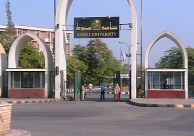 جامعة أسيوط