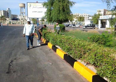 ارشيفية