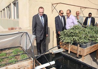 محافظ بني سويف يتفقد تجربة «زراعة الأسطح»