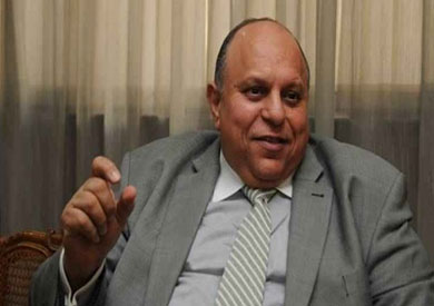 المهندس هاني محمود وزير التنمية الإدارية الأسبق، ارشيفية