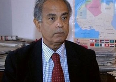 السفير حسن هريدي، مساعد وزير الخارجية الأسبق