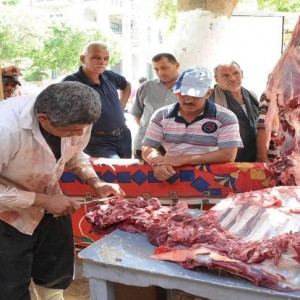 إغلاق 9 مقاهي بدون ترخيص وطرح وبيع 450 كيلو لحوم بأسعار مخفضة في المنيا