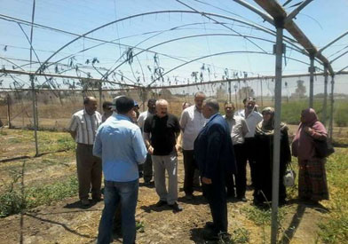 تعليم كفر الشيخ تبدأ إنشاء أكبر مجمع للصوب الزراعية بالمدارس