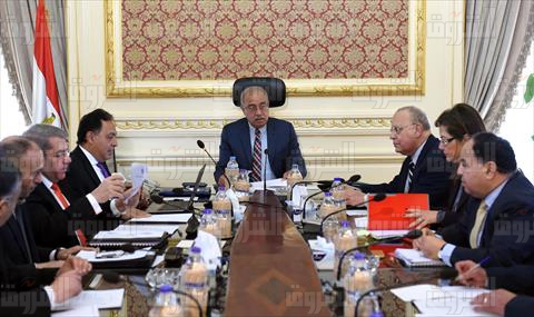 لجنة التأمين الصحى تصوير سليمان العطيفى